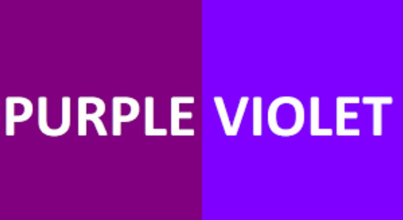 Purple (퍼플색) Violet(바이올렛 색) 다른점?