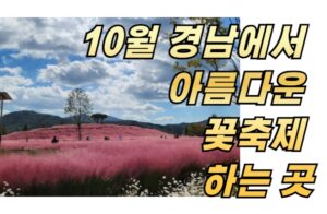 10월 경남에서 만나는 아름다운 꽃축제 하는 곳