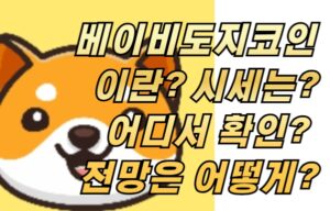 베이비도지코인이란? 시세는? 어디서 확인? 전망은 어떻게?