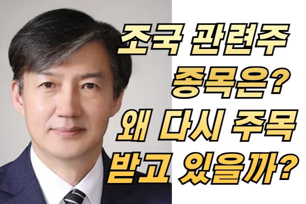 조국 관련주 종목은? 왜 다시 주목받고 있을까?