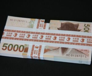 민생회복지원금, 가족이 대신 사용 가능할까? 반드시 알아야 할 주의사항